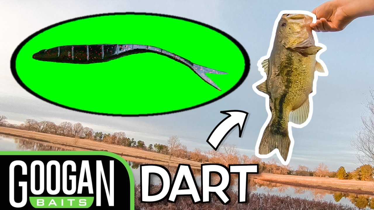 Does the Googan Dart Catch Fish? (NEW Googan Baits for 2021) 