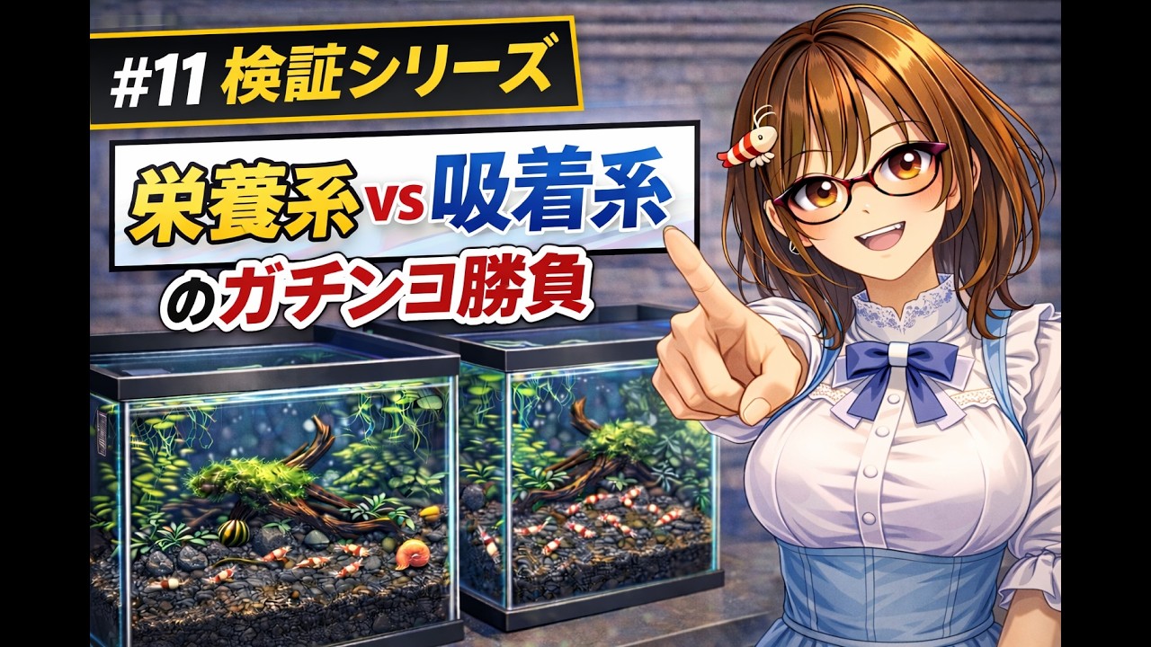 #11 検証シリーズ 栄養系VS吸着系ガチンコ勝負