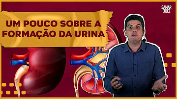 Como ocorre a reabsorção no tubo contorcido distal?