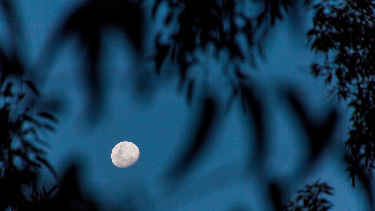 ⁣Kisnou - Vesper (Almaa Remix)