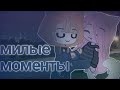 Милые моменты Кошка Лана и Йоши 💞 подборка милых моментов 💞 У.Л.Е.Й 💞