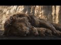 Lion🦁King👑 - The Death of Mufasa