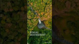 Sungai Sumber Kehidupan Bagi Makhluk Hidupdibumi