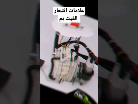 علامات انتحار الفيت بن
