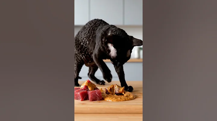 Watch the video about A Cornish Rex is Cooking Suya Beef Skewers