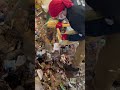 4人家族。family of 4