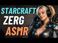 Deep Relaxing Zerg Sounds - StarCraft ASMR (No Alerts or Music)