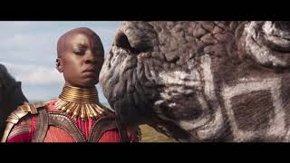 Black Panther  Essay