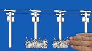Integrated Vegetation Management at ATCO