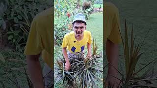 Tolong ‼️ Hamood Habibi Hilang 😲 #ucupompongtv