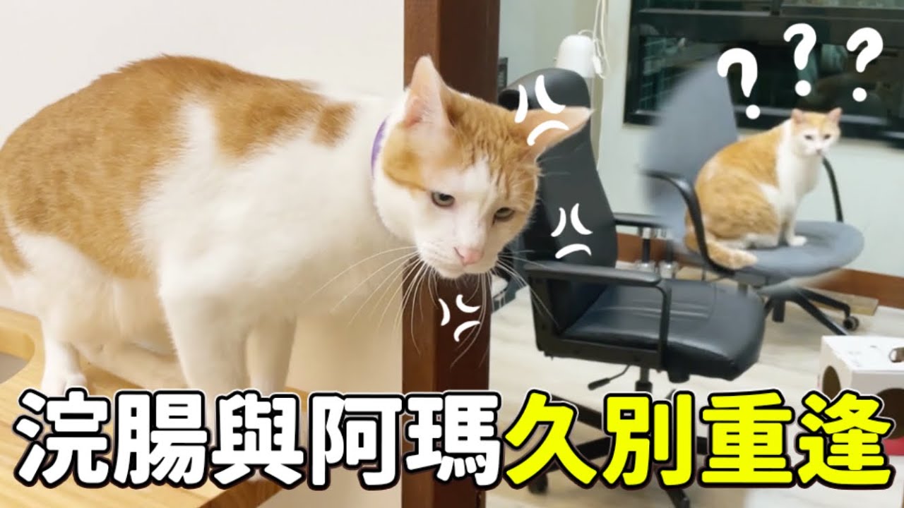 【黃阿瑪的後宮生活】浣腸與阿瑪久別重逢