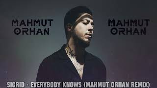 Sigrid - Everybody Knows (Mahmut Orhan Remix) Resimi