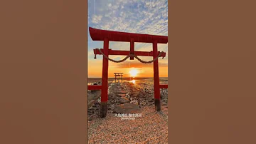 Oo Shrine Undersea Torii Shorts 