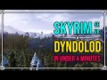 How to Install DynDOLOD in Skyrim SE & VR UNDER 4 Minutes