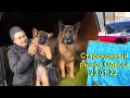 СТАРОКОННЫЙ РЫНОК, где продают щенков и котят. Одесса 23.01.22.