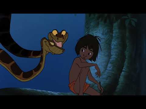 Kaa²