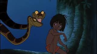 Kaa²