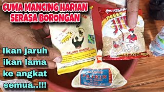 Mancing Harian Terasa Borongan‼️Umpan Jitu Mantap Dadakan Tanpa Essen Mancing Ikan Mas Harian