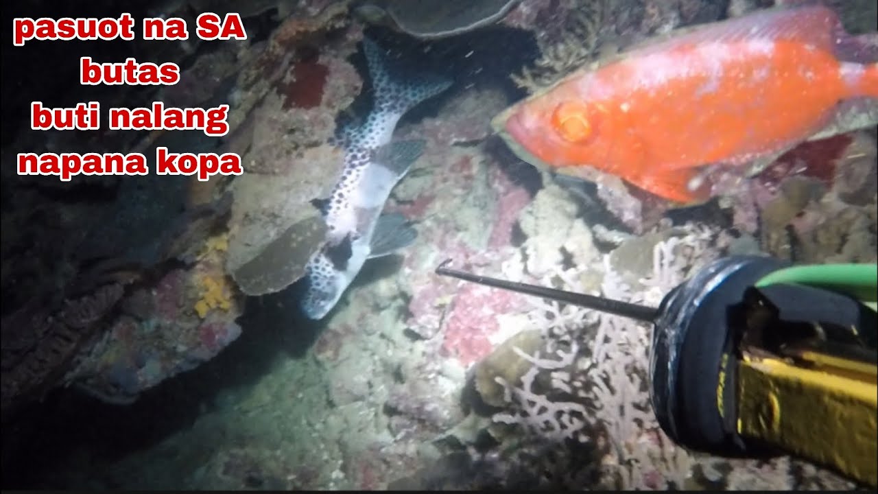 EP317 PASUOT NA SA BUTAS BUTI NALANG NAPANA KOPA NIGHT SPEARFISHING