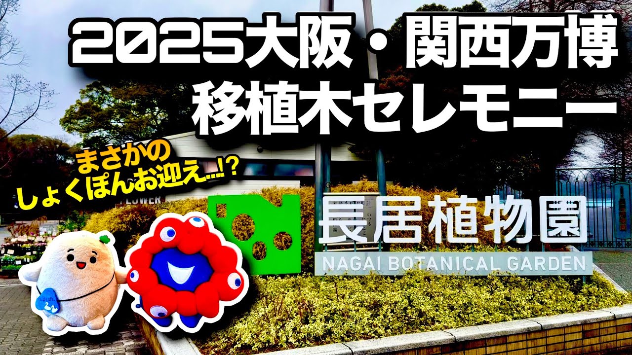 ミャクミャクと長居植物園の植樹セレモニーへ…まさかのしょくぽん持ち帰り