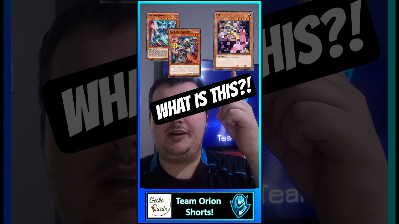 NEW K9 LOCKOUT COMBO!! 