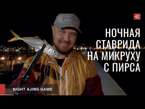 Ставрида на микруху с пирса в начале осени
