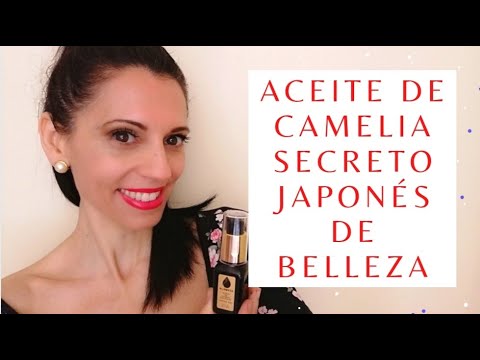 Video: Camelia japonesa - belleza floreciente