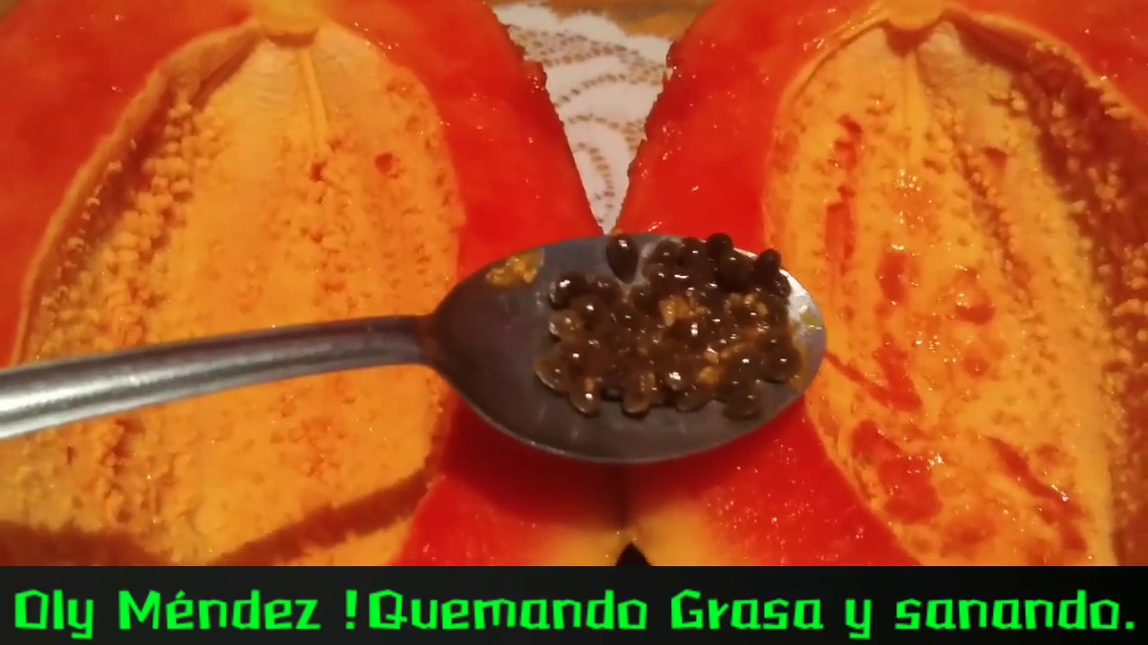 Prepara batido de semillas de papaya y avena YouTube Prepara batido de semillas de papaya y avena YouTube