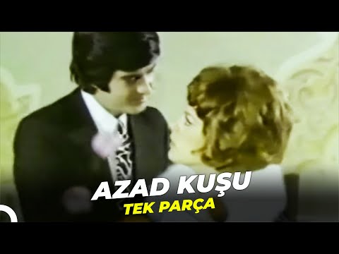 Azad Kuşu | Tarık Akan - Hülya Koçyiğit Eski Türk Filmi Full İzle