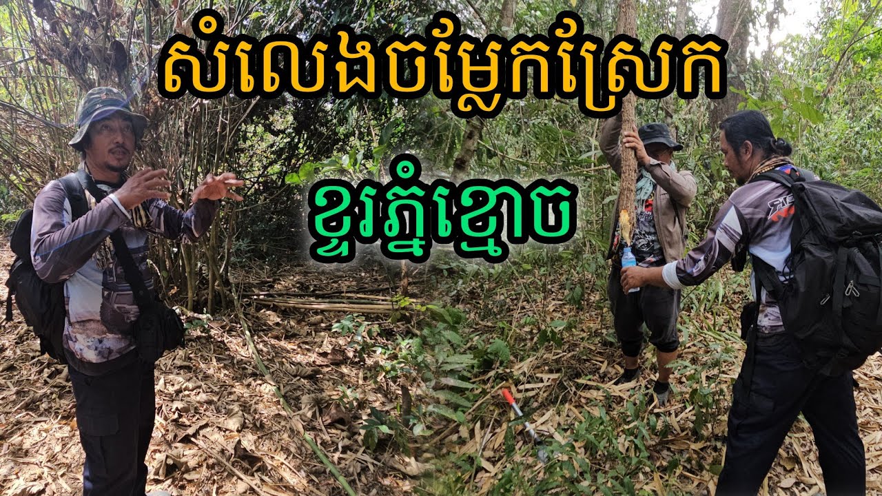 សំលេង​ចម្លែក​ស្រែកខ្ទរភ្នំខ្មោច