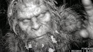 All the Clearest NEW Bigfoot Footage in One LONG Video!