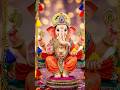 Ganpati Bapa Trending Short Video 3092025 