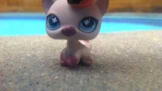 LPS Swimming Pool Fan Video