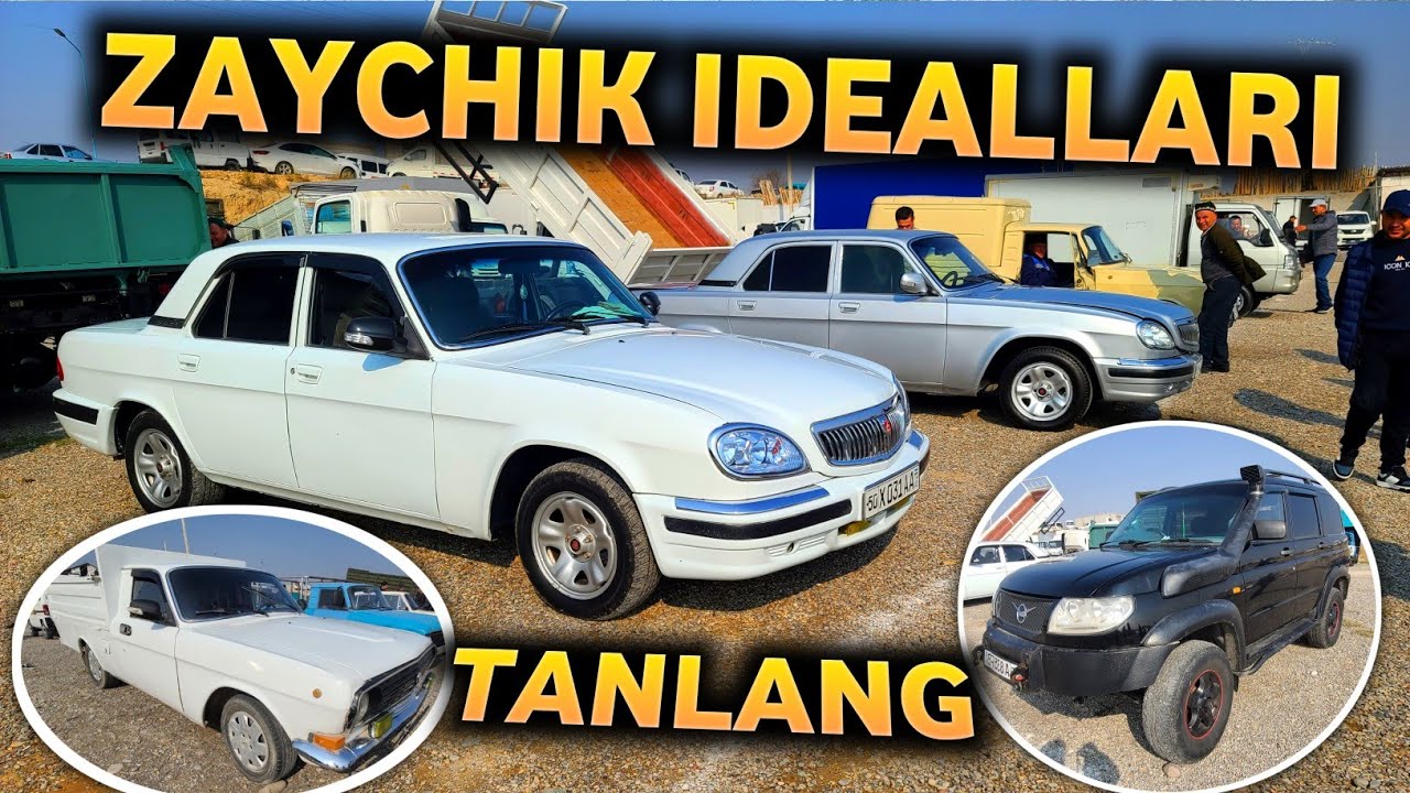 10 Noyabr Volga zaychiklar zo‘rlari va uaz patriot, volga pikap hamyonboplari chiqdi