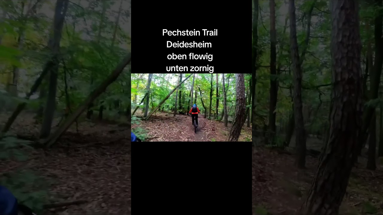 Pechstein Trail 