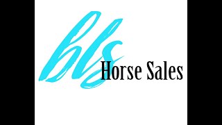 BLS Horse Sale - September 24-25-26 2021