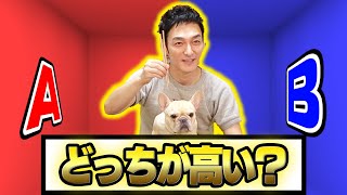 片方はなんと2500円の割り箸！？高い品を見極めろ！日用品格付けチェック！