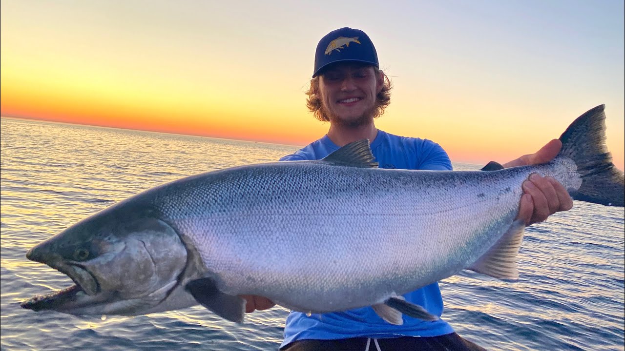 Catch, Cook and Eat MASSIVE KING SALMON!!! - Great Lakes 2020