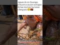Benguela vive uma situação , caótico,com a consequência da chuva ,Pedimos a Deus a sua proteção..