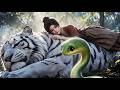 MULTI SUB💥新番💥被騙沖喜嫁廢疾將軍!空間神獸傍身,我逆轉命運寵滿門!《逆轉命運寵滿門》~一口气看全集 #漫剧 #anime