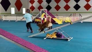 Zee Advanced Std Module 2 Zee