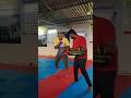 Silat Kicking #shorts #shortvideo #silat