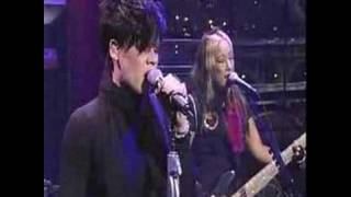 Pink-Family Portrait Live [David Letterman] chords