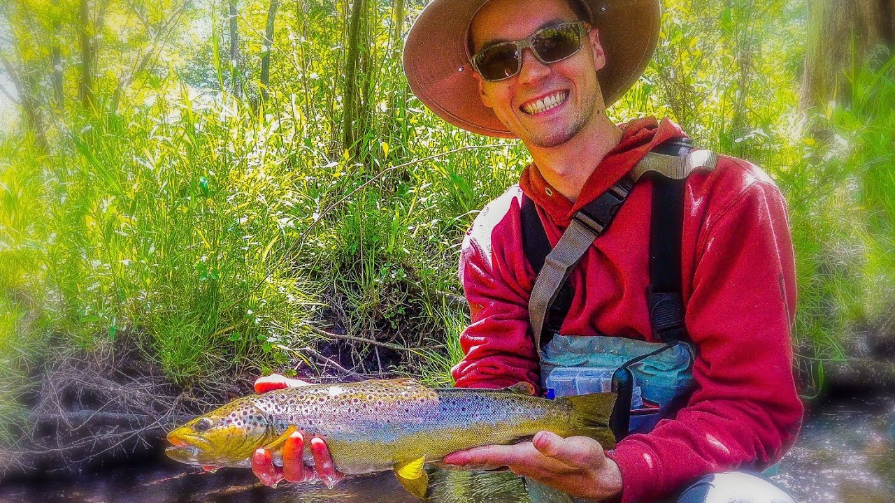 Trout Fishing Tips and Techniques Trout Fishing for Beginners How