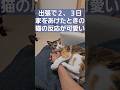 出張で2、3日家をあけたときの猫の反応がかわいい #cat #野良猫出身