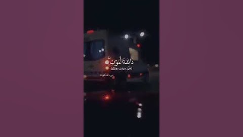 تلاوة رائعة تريح القلب❤