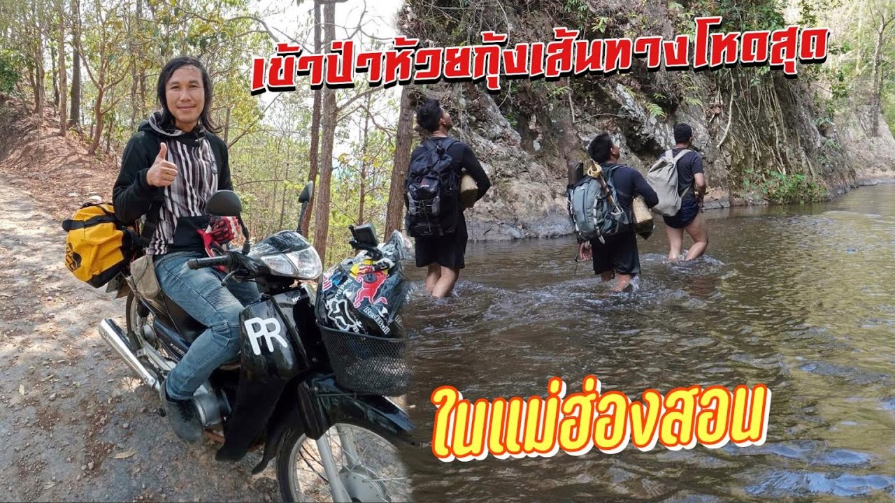 ดิบ ฝน ชนเผ่า EP262 เข้าป่าห้วยกุ้งเส้นทางโหดสุดในแม่ฮ่องสอน