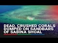 Dead, crushed corals dumped on sandbars of Sabina Shoal | ABS-CBN News