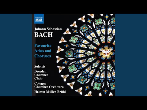 Watch Mass in B Minor, BWV 232: Benedictus: Benedictus qui venit (Tenor) on YouTube Watch Mass in B Minor, BWV 232: Benedictus: Benedictus qui venit (Tenor) on YouTube