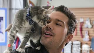 Top 10 Hallmark Movie Actors